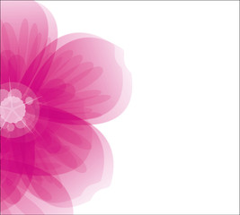 Floral background with pink flower, vector illustration