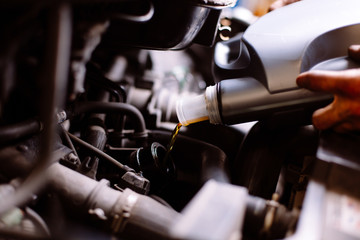Car mechanic fills engine oil