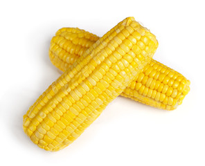 Ear of corn