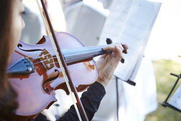 Violinist