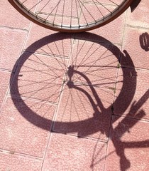 Shadow of the wheel from the bicycle