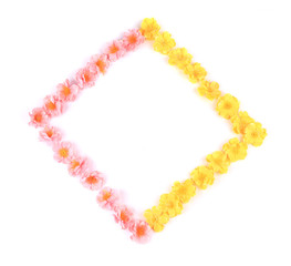 Frame of yellow and pink flowers.