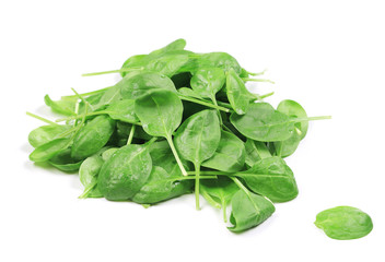 Bunch of green fresh basil.