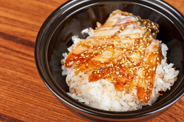 eel with rice