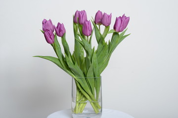 Tulpen