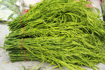 Acacia Pennata in Thai fresh market