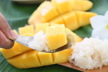 Ripe mango and sticky rice in spoon.