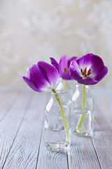 Spring Tulips in Glass Bottles