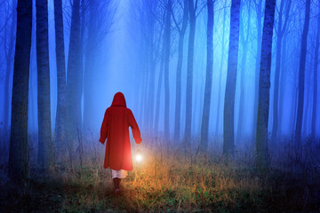 Little Red Riding Hood in the forest - 62782868
