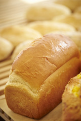 Bread