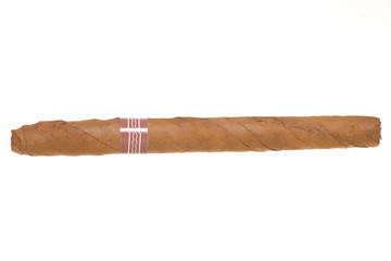 single cigar isolated