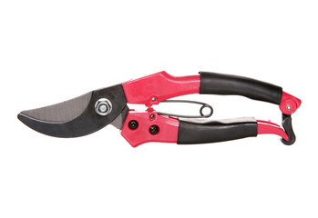single pair of red secateurs