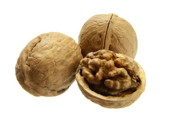 walnut