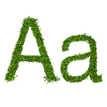 Isolated grass alphabet A