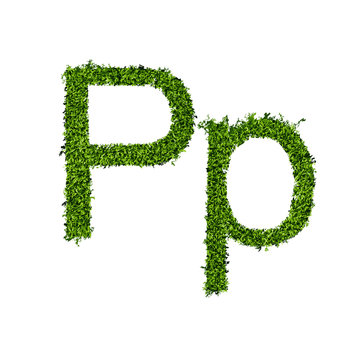 Isolated grass alphabet P