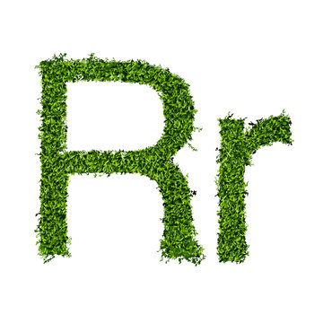 Isolated grass alphabet R