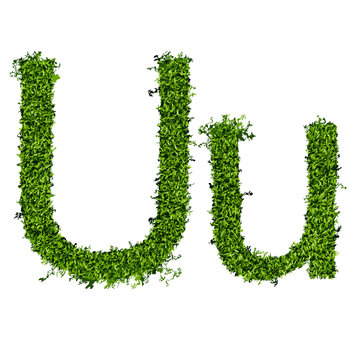 Isolated grass alphabet U