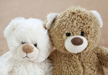 ours en peluche