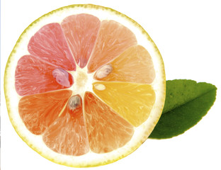citron bio