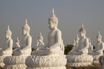 Multiple white Buddha statues in the field