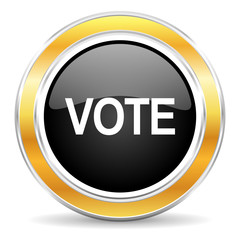 vote icon