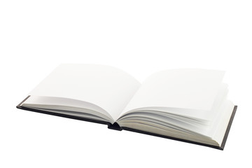 open spread of book with blank white pages