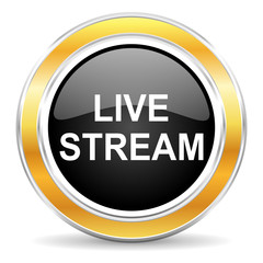 live stream icon