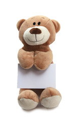 ours et pancarte