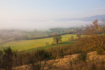 Fototapeta na wymiar Landscape with fog in Italy