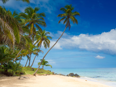 Tropical beach - Spiaggia caraibica