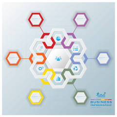 Modern Hexagon Business Infographic
