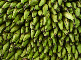 Bananas - Banane