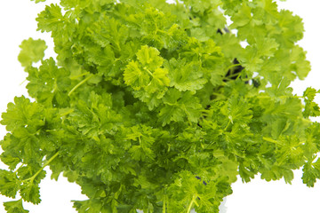 parsley