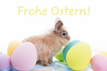 Hase und Ostereier