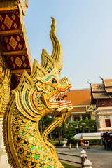 Fototapeta na wymiar Naga in Wat Phra Singh, Chiang Mai, Thailand