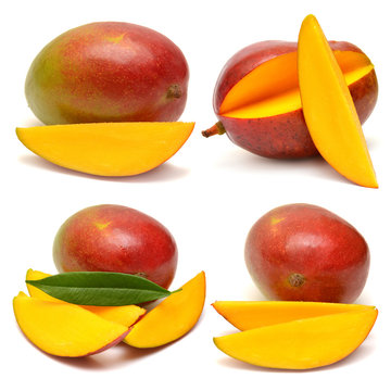 Collection of mango