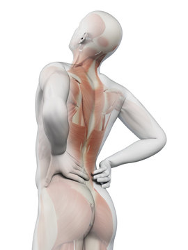 a man having acute pain in the back