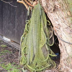 Fischernetz hängt am Baum