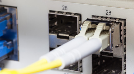 Optic fiber and SFP connected to switch