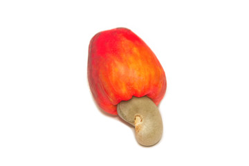  fresh cashew nut