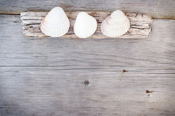 Fototapeta na wymiar Travel background - wood and seashells
