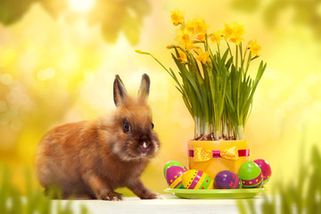 Funny little rabbit with Easter eggs