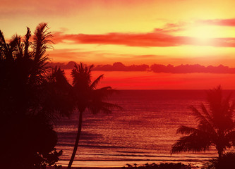 Obraz premium Red tropical sunset with palm trees
