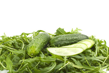 green fresh cucumbers