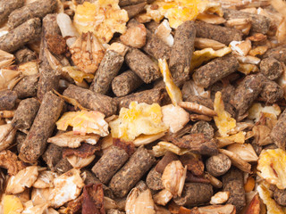 natural sportive  muesli background. for horse.