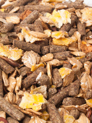 natural sportive  muesli background. for horse.