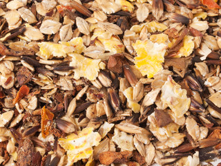 sportive  muesli background. for horse.
