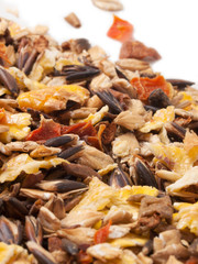 sportive  muesli background with black oats. for horse.