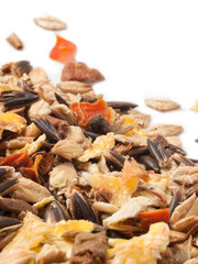 sportive  muesli background with black oats. for horse. macro