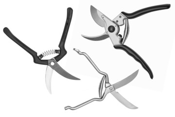 Garden secateurs isolated on a white background